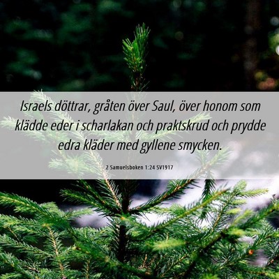 Picture 06 - 2 Samuelsboken 1:24 SV1917 - Israels döttrar, gråten över Saul, över honom - Bible Verse Picture