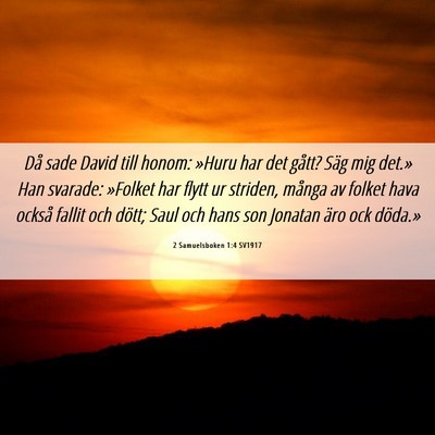 Picture 06 - 2 Samuelsboken 1:4 SV1917 - Då sade David till honom: »Huru har det gått? - Bible Verse Picture
