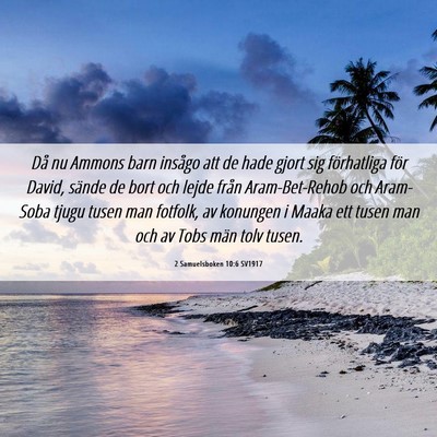 Picture 06 - 2 Samuelsboken 10:6 SV1917 - Då nu Ammons barn insågo att de hade gjort sig - Bible Verse Picture