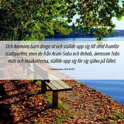 Picture 06 - 2 Samuelsboken 10:8 SV1917 - Och Ammons barn drogo ut och ställde upp sig - Bible Verse Picture