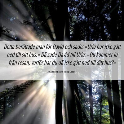 Picture 06 - 2 Samuelsboken 11:10 SV1917 - Detta berättade man för David och sade: »Uria - Bible Verse Picture
