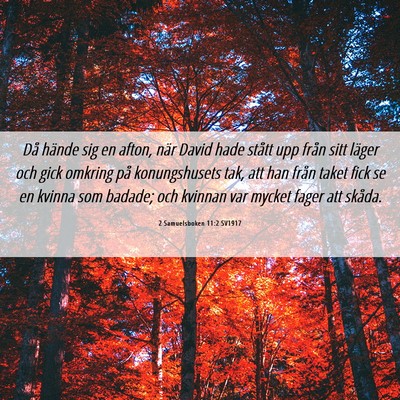 Picture 06 - 2 Samuelsboken 11:2 SV1917 - Då hände sig en afton, när David hade stått - Bible Verse Picture