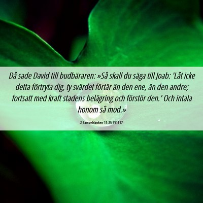 Picture 06 - 2 Samuelsboken 11:25 SV1917 - Då sade David till budbäraren: »Så skall du - Bible Verse Picture