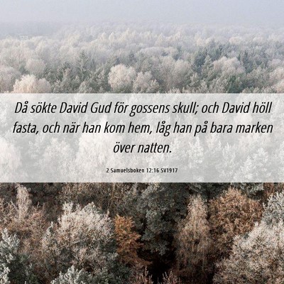 Picture 06 - 2 Samuelsboken 12:16 SV1917 - Då sökte David Gud för gossens skull; och - Bible Verse Picture