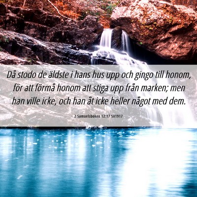 Picture 06 - 2 Samuelsboken 12:17 SV1917 - Då stodo de äldste i hans hus upp och gingo - Bible Verse Picture