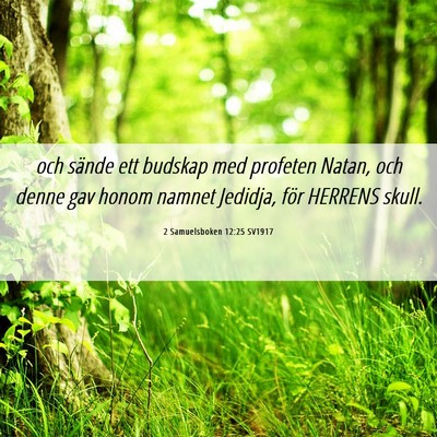 Picture 06 - 2 Samuelsboken 12:25 SV1917 - och sände ett budskap med profeten Natan, och - Bible Verse Picture