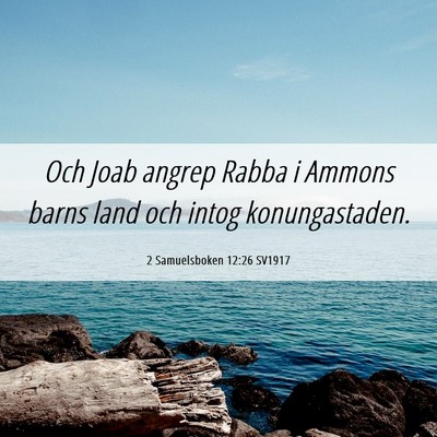 Picture 06 - 2 Samuelsboken 12:26 SV1917 - Och Joab angrep Rabba i Ammons barns land och - Bible Verse Picture