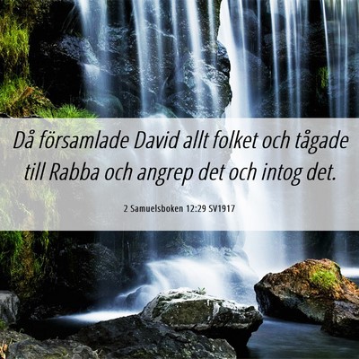Picture 06 - 2 Samuelsboken 12:29 SV1917 - Då församlade David allt folket och tågade - Bible Verse Picture