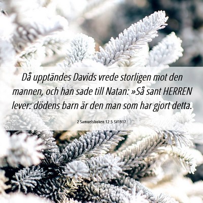 Picture 06 - 2 Samuelsboken 12:5 SV1917 - Då upptändes Davids vrede storligen mot den - Bible Verse Picture