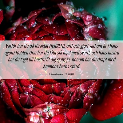 Picture 06 - 2 Samuelsboken 12:9 SV1917 - Varför har du då föraktat HERRENS ord och - Bible Verse Picture