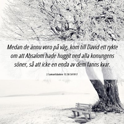 Picture 06 - 2 Samuelsboken 13:30 SV1917 - Medan de ännu voro på väg, kom till David ett - Bible Verse Picture