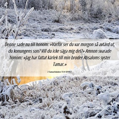 Picture 06 - 2 Samuelsboken 13:4 SV1917 - Denne sade nu till honom: »Varför ser du var - Bible Verse Picture