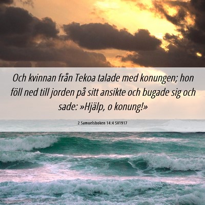 Picture 06 - 2 Samuelsboken 14:4 SV1917 - Och kvinnan från Tekoa talade med konungen; hon - Bible Verse Picture