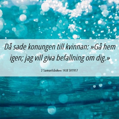 Picture 06 - 2 Samuelsboken 14:8 SV1917 - Då sade konungen till kvinnan: »Gå hem igen; - Bible Verse Picture