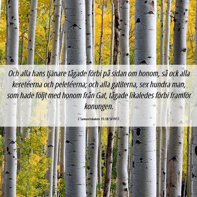 Picture 06 - 2 Samuelsboken 15:18 SV1917 - Och alla hans tjänare tågade förbi på sidan - Bible Verse Picture