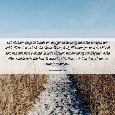 Picture 06 - 2 Samuelsboken 15:2 SV1917 - Och Absalom plägade bittida om morgonen ställa - Bible Verse Picture