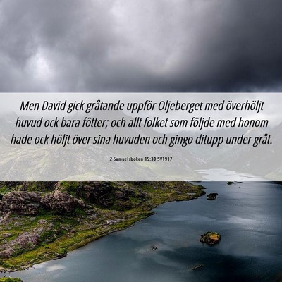 Picture 06 - 2 Samuelsboken 15:30 SV1917 - Men David gick gråtande uppför Oljeberget med - Bible Verse Picture