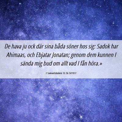 Picture 06 - 2 Samuelsboken 15:36 SV1917 - De hava ju ock där sina båda söner hos sig: - Bible Verse Picture