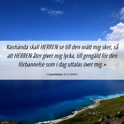 Picture 06 - 2 Samuelsboken 16:12 SV1917 - Kanhända skall HERREN se till den orätt mig - Bible Verse Picture