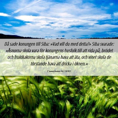 Picture 06 - 2 Samuelsboken 16:2 SV1917 - Då sade konungen till Siba: »Vad vill du med - Bible Verse Picture
