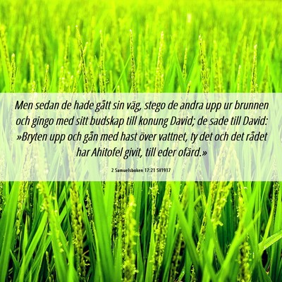 Picture 06 - 2 Samuelsboken 17:21 SV1917 - Men sedan de hade gått sin väg, stego de andra - Bible Verse Picture