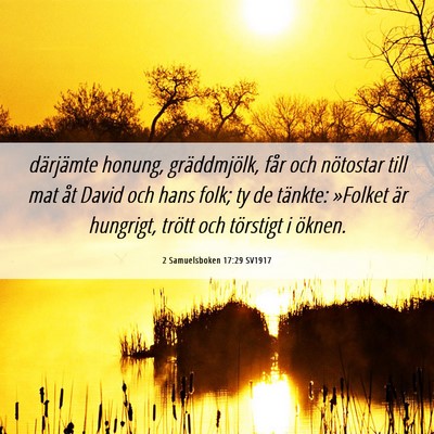 Picture 06 - 2 Samuelsboken 17:29 SV1917 - därjämte honung, gräddmjölk, får och - Bible Verse Picture