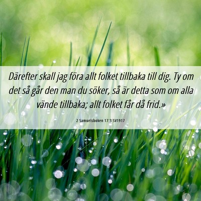 Picture 06 - 2 Samuelsboken 17:3 SV1917 - Därefter skall jag föra allt folket tillbaka - Bible Verse Picture