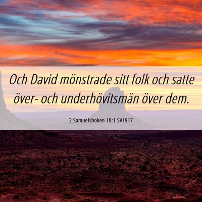 Picture 06 - 2 Samuelsboken 18:1 SV1917 - Och David mönstrade sitt folk och satte över- - Bible Verse Picture