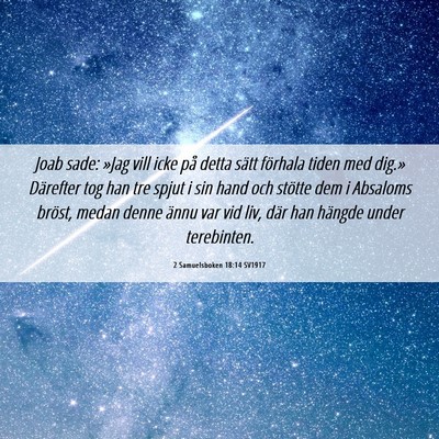 Picture 06 - 2 Samuelsboken 18:14 SV1917 - Joab sade: »Jag vill icke på detta sätt - Bible Verse Picture