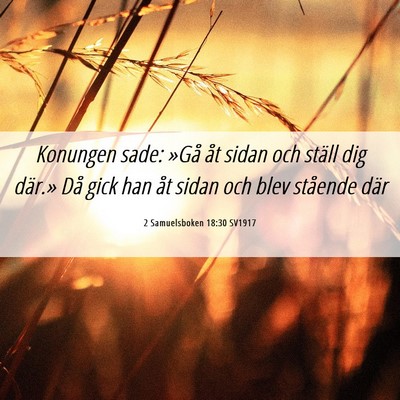 Picture 06 - 2 Samuelsboken 18:30 SV1917 - Konungen sade: »Gå åt sidan och ställ dig - Bible Verse Picture