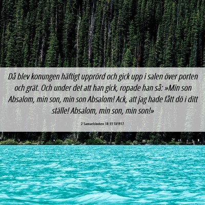 Picture 06 - 2 Samuelsboken 18:33 SV1917 - Då blev konungen häftigt upprörd och gick upp - Bible Verse Picture