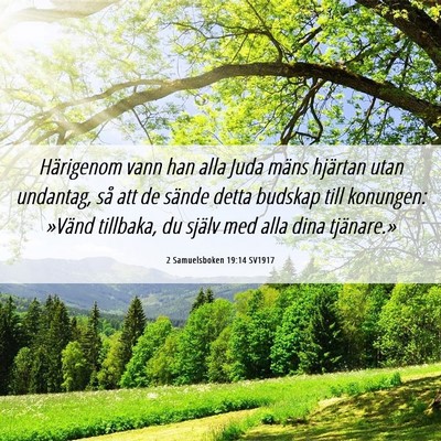 Picture 06 - 2 Samuelsboken 19:14 SV1917 - Härigenom vann han alla Juda mäns hjärtan utan - Bible Verse Picture
