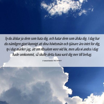 Picture 06 - 2 Samuelsboken 19:6 SV1917 - Ty du älskar ju dem som hata dig, och hatar dem - Bible Verse Picture