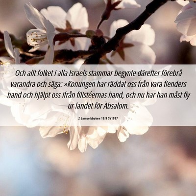 Picture 06 - 2 Samuelsboken 19:9 SV1917 - Och allt folket i alla Israels stammar begynte - Bible Verse Picture