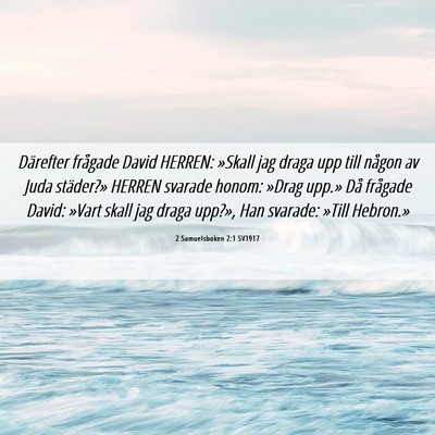 Picture 06 - 2 Samuelsboken 2:1 SV1917 - Därefter frågade David HERREN: »Skall jag - Bible Verse Picture