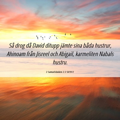 Picture 06 - 2 Samuelsboken 2:2 SV1917 - Så drog då David ditupp jämte sina båda - Bible Verse Picture