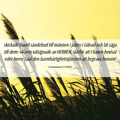 Picture 06 - 2 Samuelsboken 2:5 SV1917 - skickade David sändebud till männen i Jabes i - Bible Verse Picture