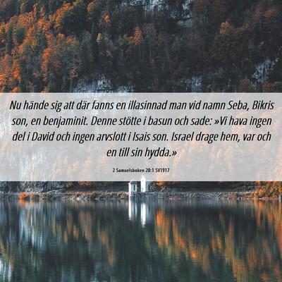 Picture 06 - 2 Samuelsboken 20:1 SV1917 - Nu hände sig att där fanns en illasinnad man - Bible Verse Picture