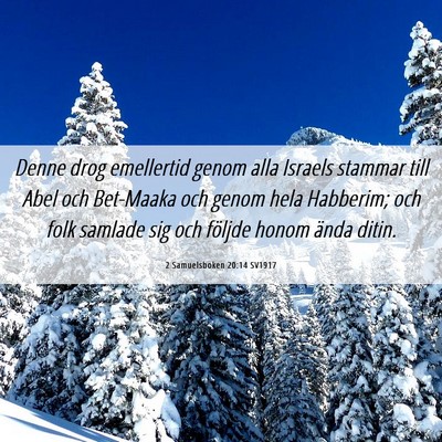 Picture 06 - 2 Samuelsboken 20:14 SV1917 - Denne drog emellertid genom alla Israels stammar - Bible Verse Picture