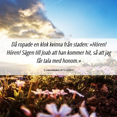 Picture 06 - 2 Samuelsboken 20:16 SV1917 - Då ropade en klok kvinna från staden: »Hören! - Bible Verse Picture