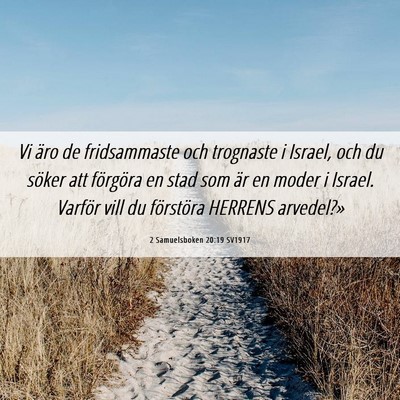 Picture 06 - 2 Samuelsboken 20:19 SV1917 - Vi äro de fridsammaste och trognaste i Israel, - Bible Verse Picture