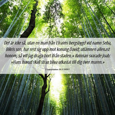 Picture 06 - 2 Samuelsboken 20:21 SV1917 - Det är icke så, utan en man från Efraims - Bible Verse Picture