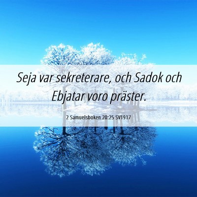 Picture 06 - 2 Samuelsboken 20:25 SV1917 - Seja var sekreterare, och Sadok och Ebjatar voro - Bible Verse Picture