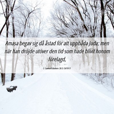 Picture 06 - 2 Samuelsboken 20:5 SV1917 - Amasa begav sig då åstad för att uppbåda - Bible Verse Picture