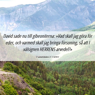 Picture 06 - 2 Samuelsboken 21:3 SV1917 - David sade nu till gibeoniterna: »Vad skall jag - Bible Verse Picture