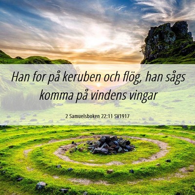 Picture 06 - 2 Samuelsboken 22:11 SV1917 - Han for på keruben och flög, han sågs komma - Bible Verse Picture