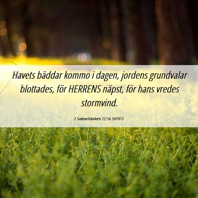 Picture 06 - 2 Samuelsboken 22:16 SV1917 - Havets bäddar kommo i dagen, jordens grundvalar - Bible Verse Picture