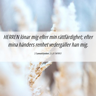 Picture 06 - 2 Samuelsboken 22:21 SV1917 - HERREN lönar mig efter min rättfärdighet; - Bible Verse Picture
