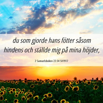 Picture 06 - 2 Samuelsboken 22:34 SV1917 - du som gjorde hans fötter såsom hindens och - Bible Verse Picture