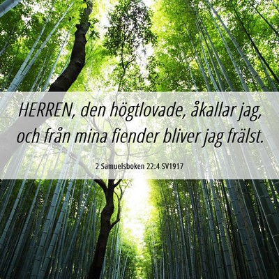 Picture 06 - 2 Samuelsboken 22:4 SV1917 - HERREN, den högtlovade, åkallar jag, och från - Bible Verse Picture